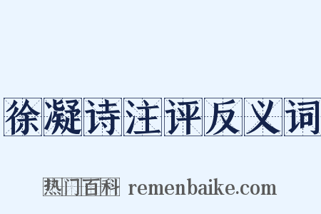 徐凝诗注评反义词是什么意思的图片